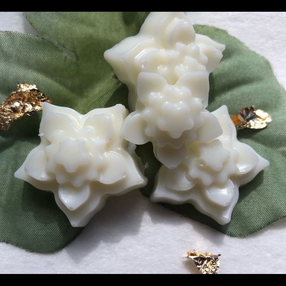 Succulent wax melts - tea tree oil wax melter